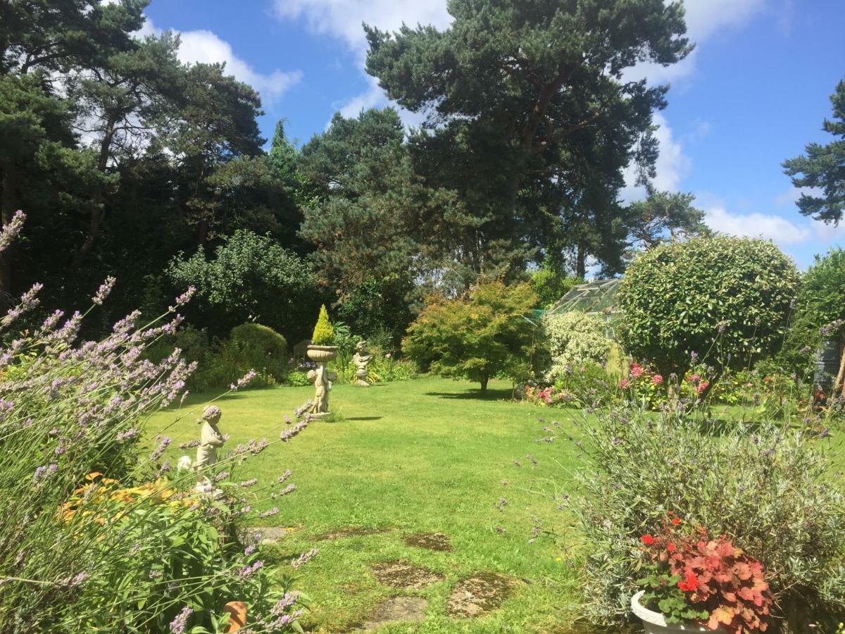 Heatherdene House Corfe Mullen Kültér fotó