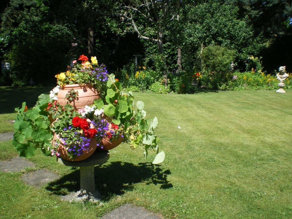 Heatherdene House Corfe Mullen Kültér fotó